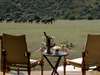 Gorah Elephant Camp - Deck
